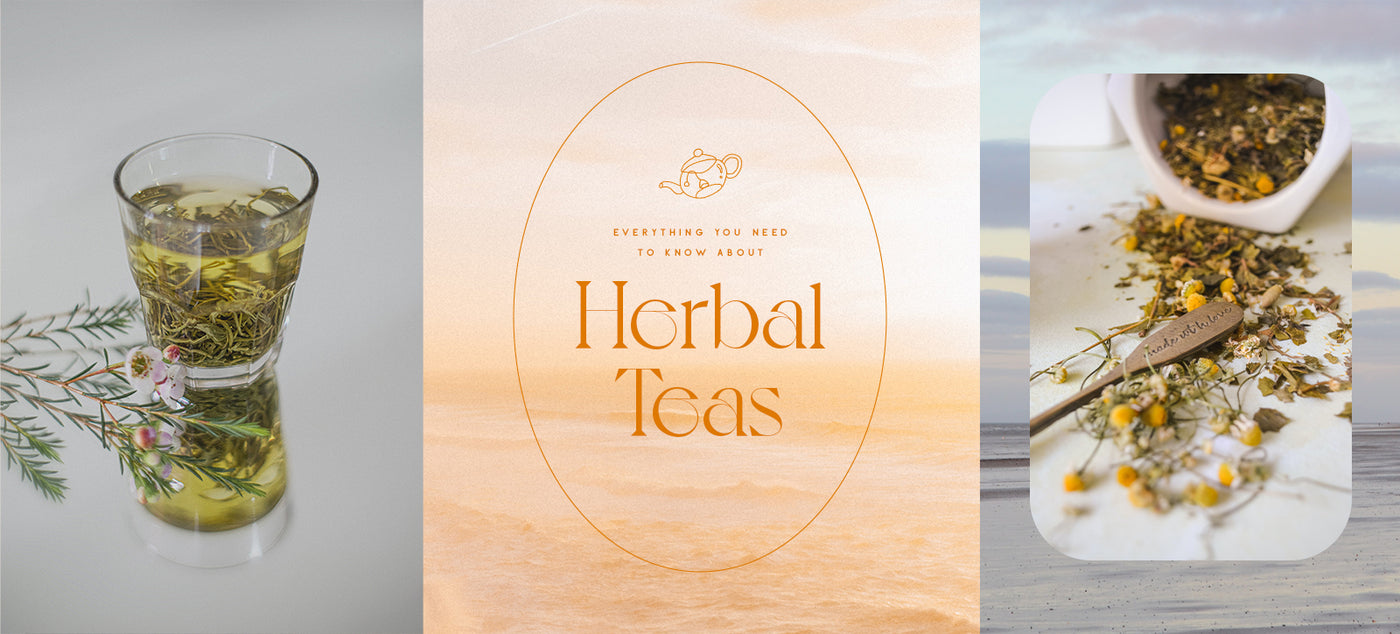 Why You Should Choose Herbal Teas