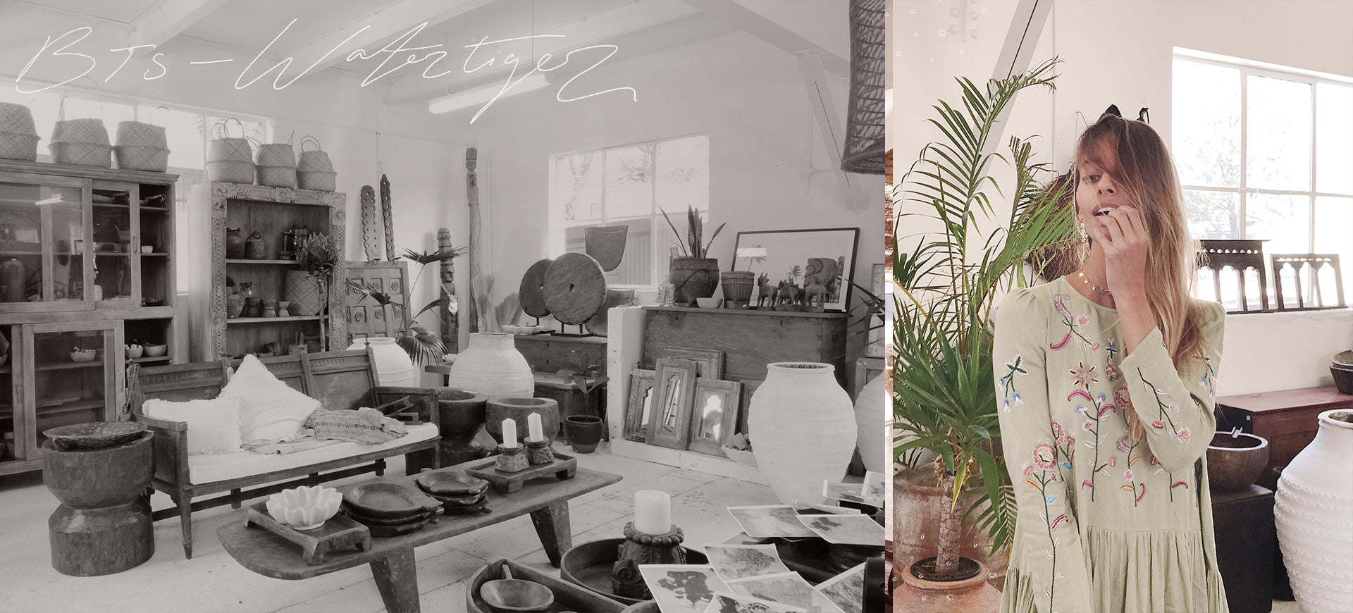 BTS with Water Tiger