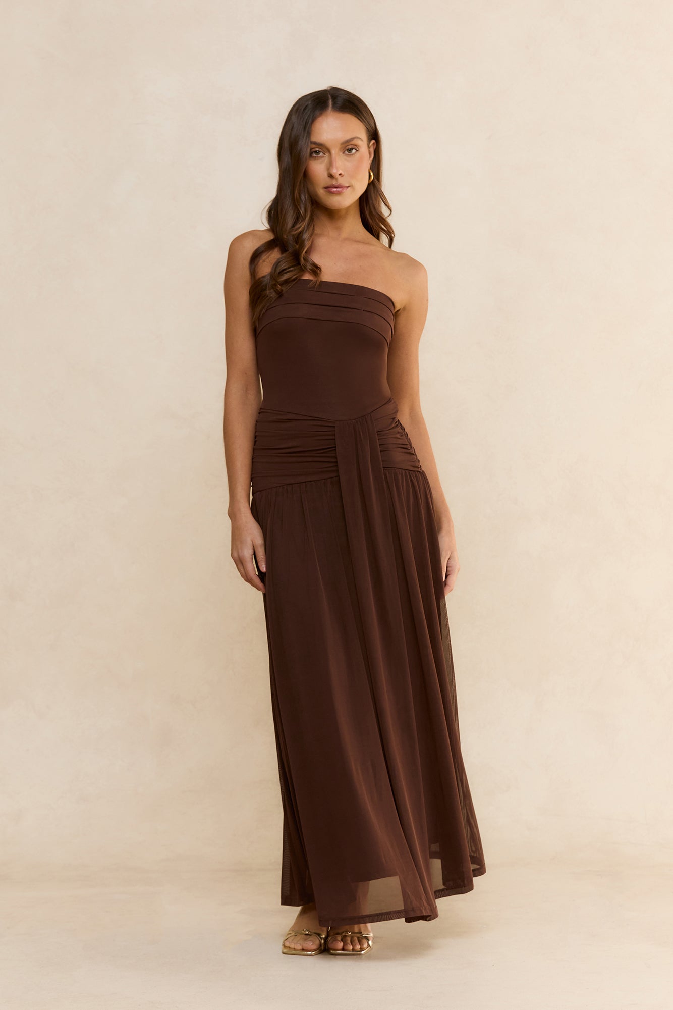 Desert Sands Strapless Mesh Maxi Dress Brown