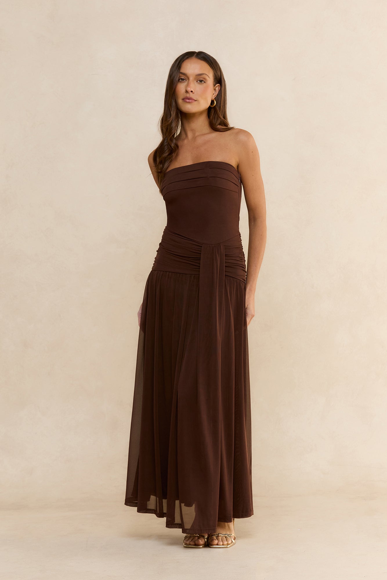 Desert Sands Strapless Mesh Maxi Dress Brown
