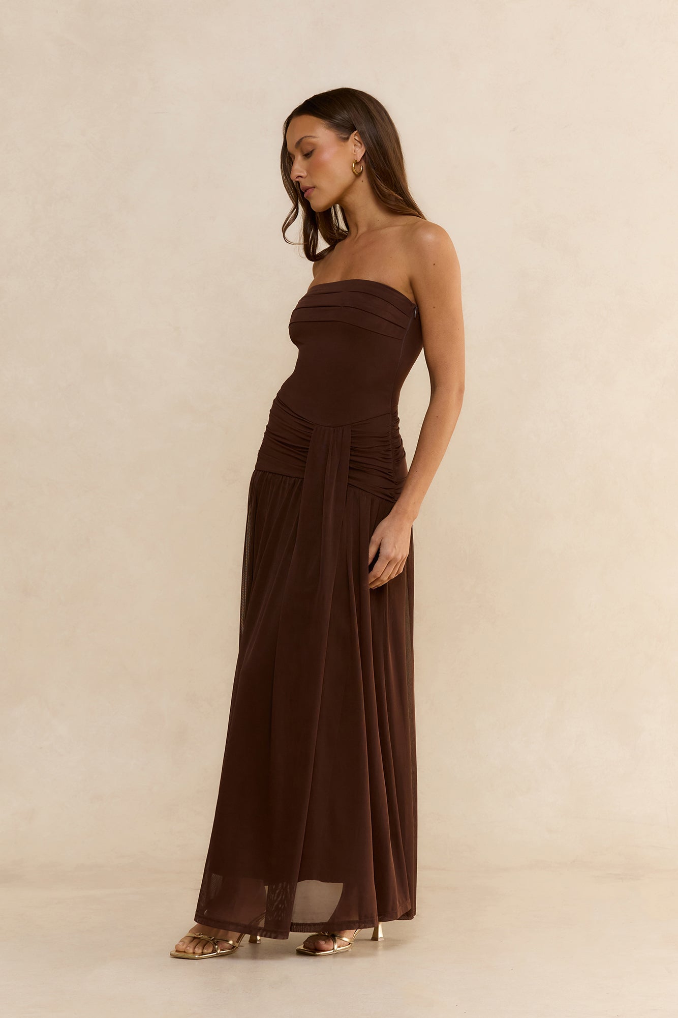 Desert Sands Strapless Mesh Maxi Dress Brown