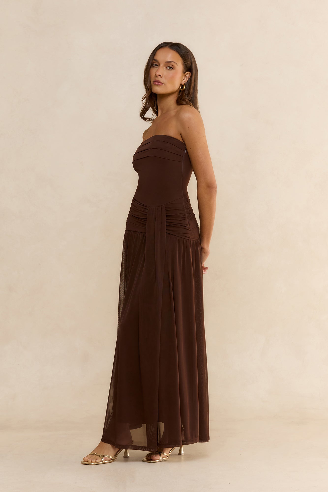Desert Sands Strapless Mesh Maxi Dress Brown