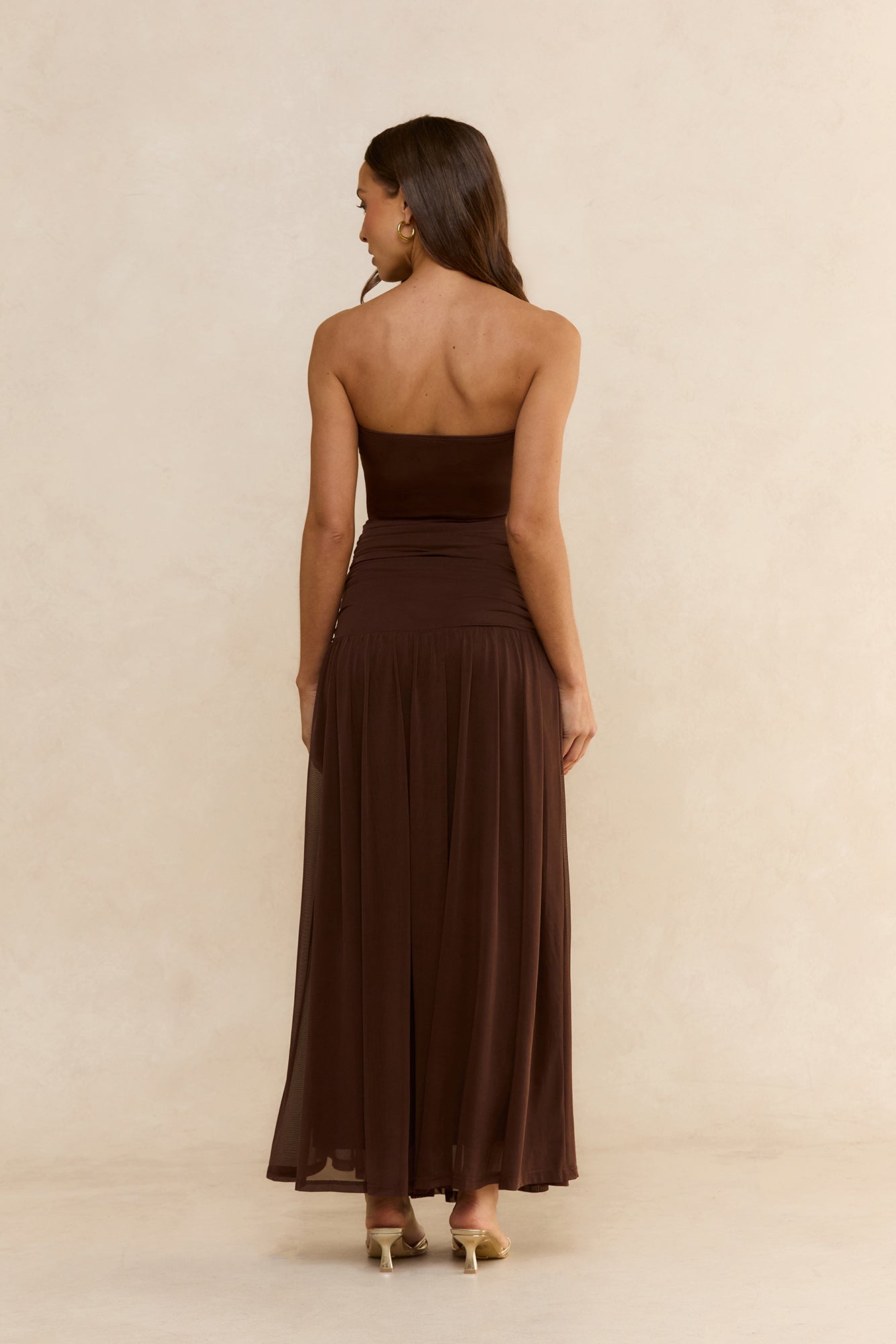 Desert Sands Strapless Mesh Maxi Dress Brown