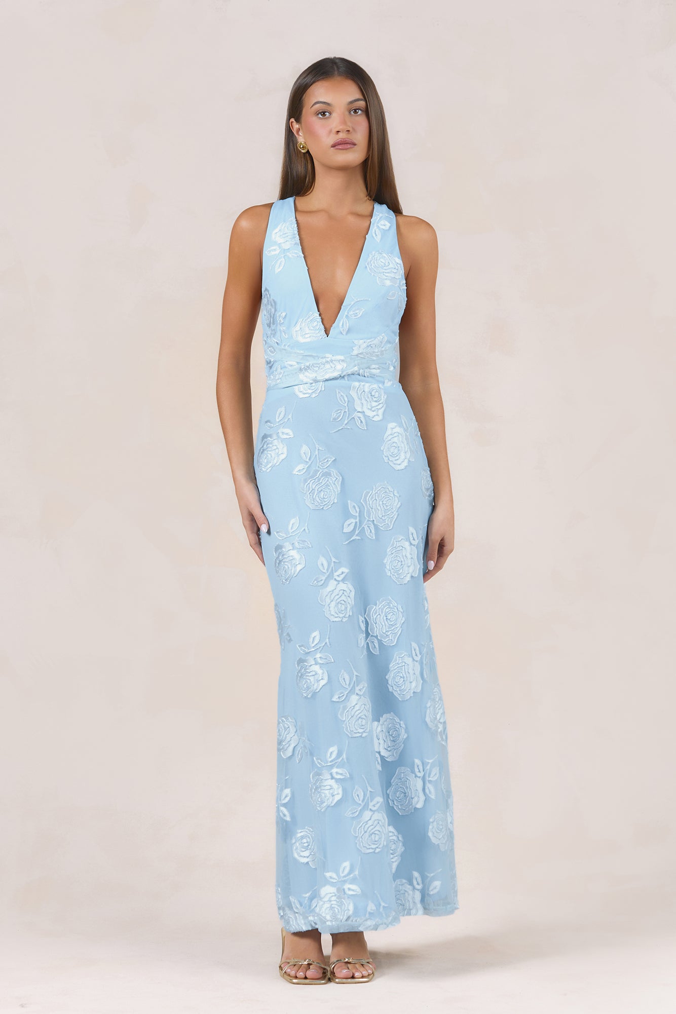 Rose Rendezvous Maxi Dress Blue