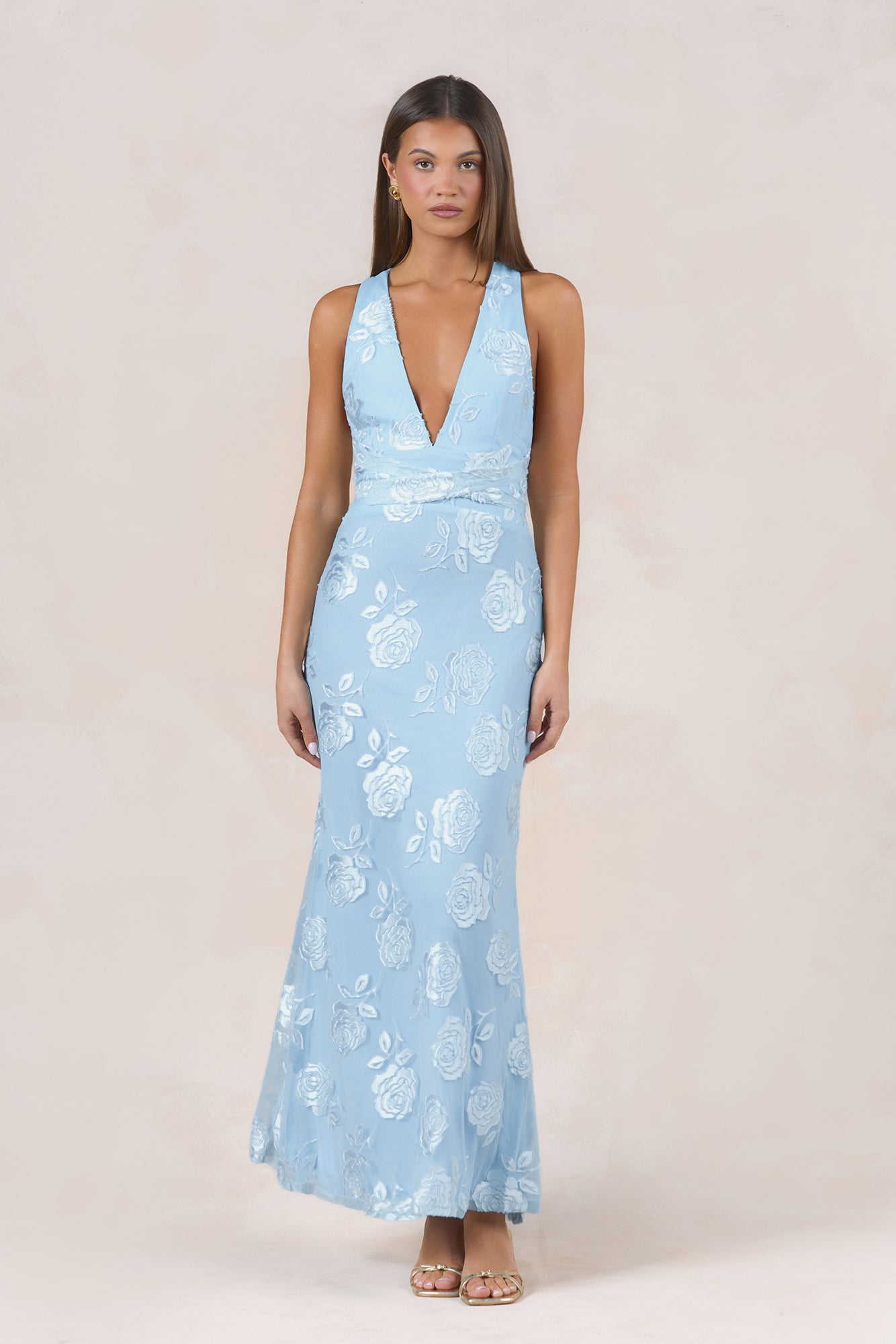 Rose Rendezvous Maxi Dress Blue