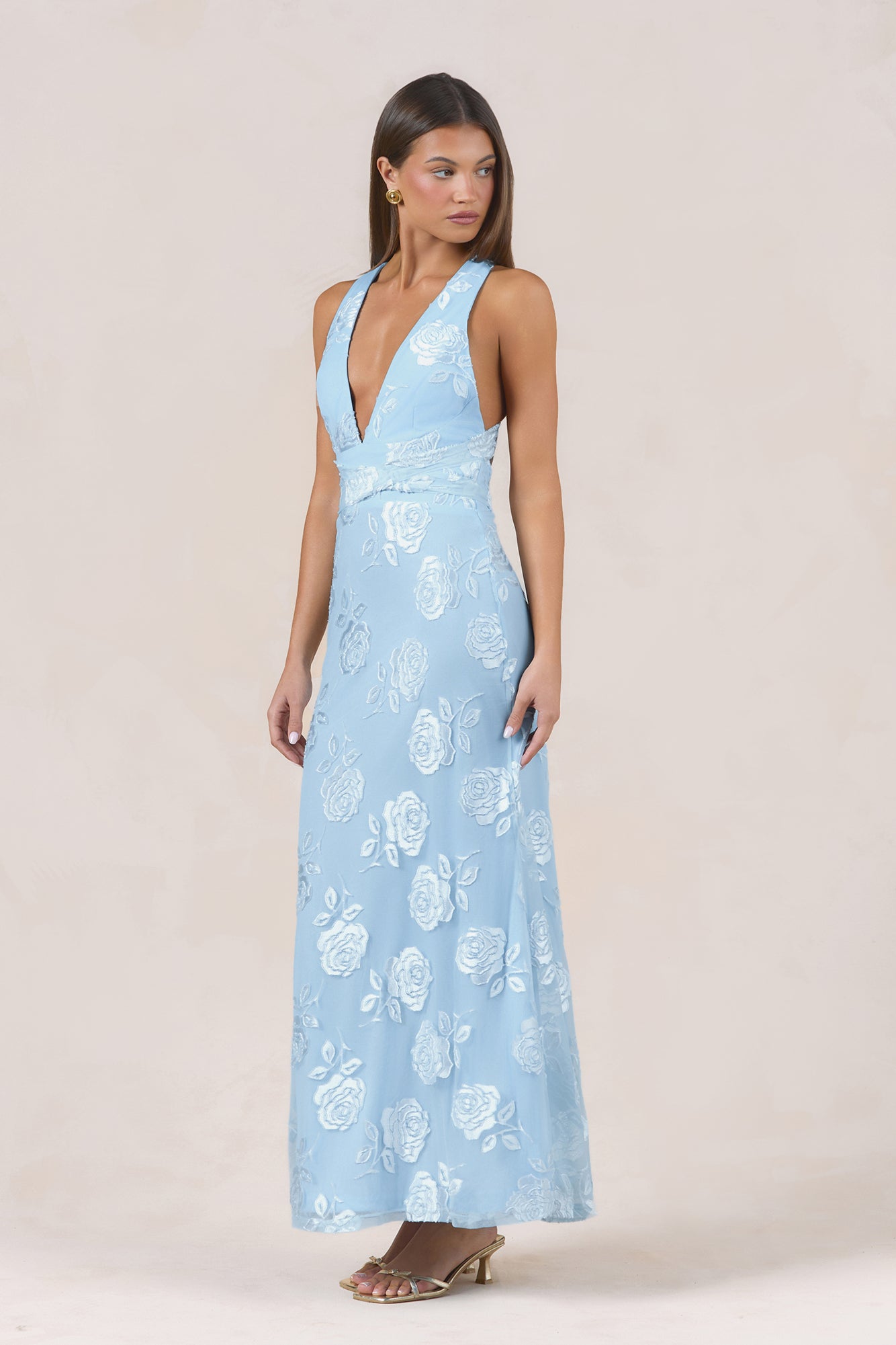 Rose Rendezvous Maxi Dress Blue