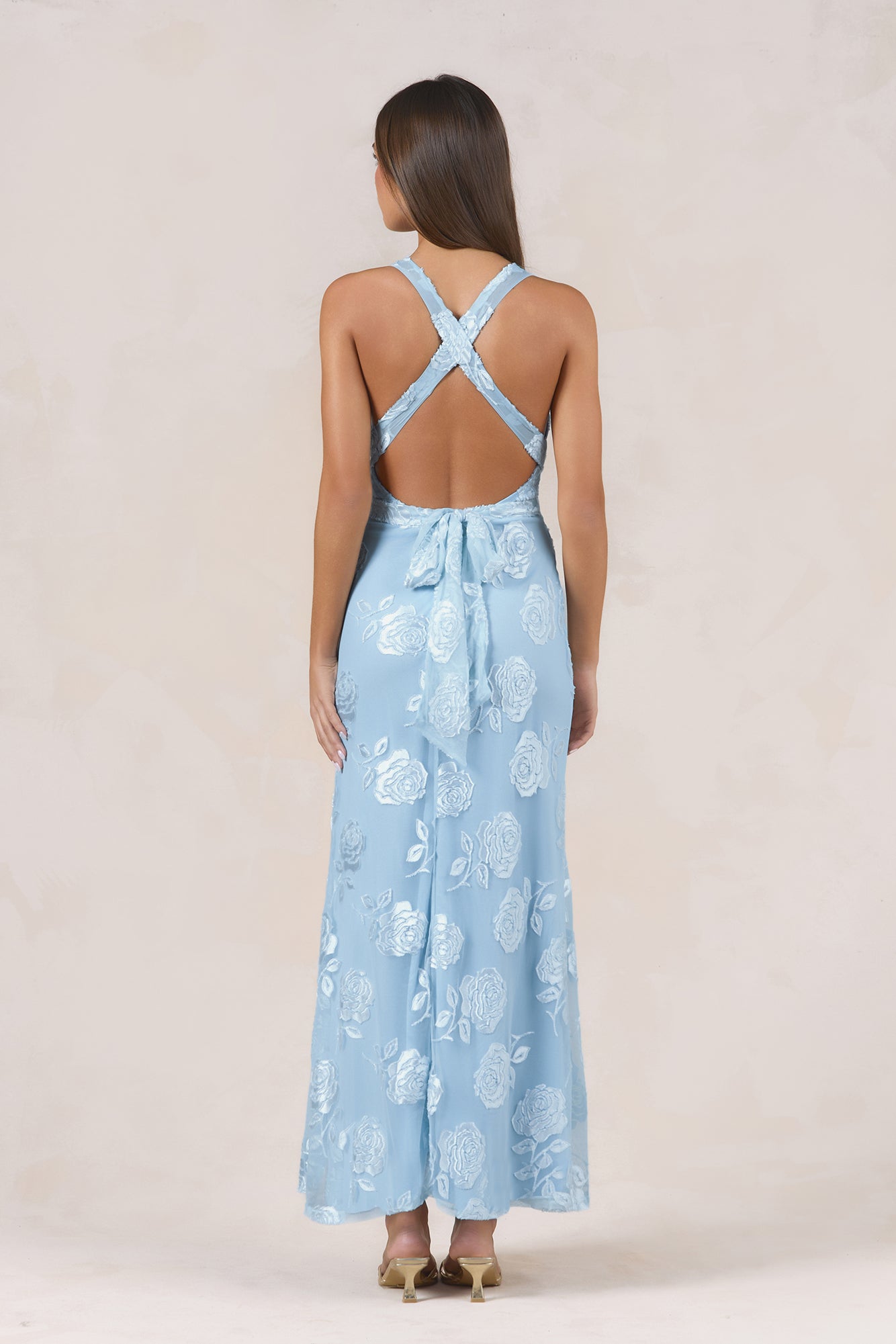 Rose Rendezvous Maxi Dress Blue
